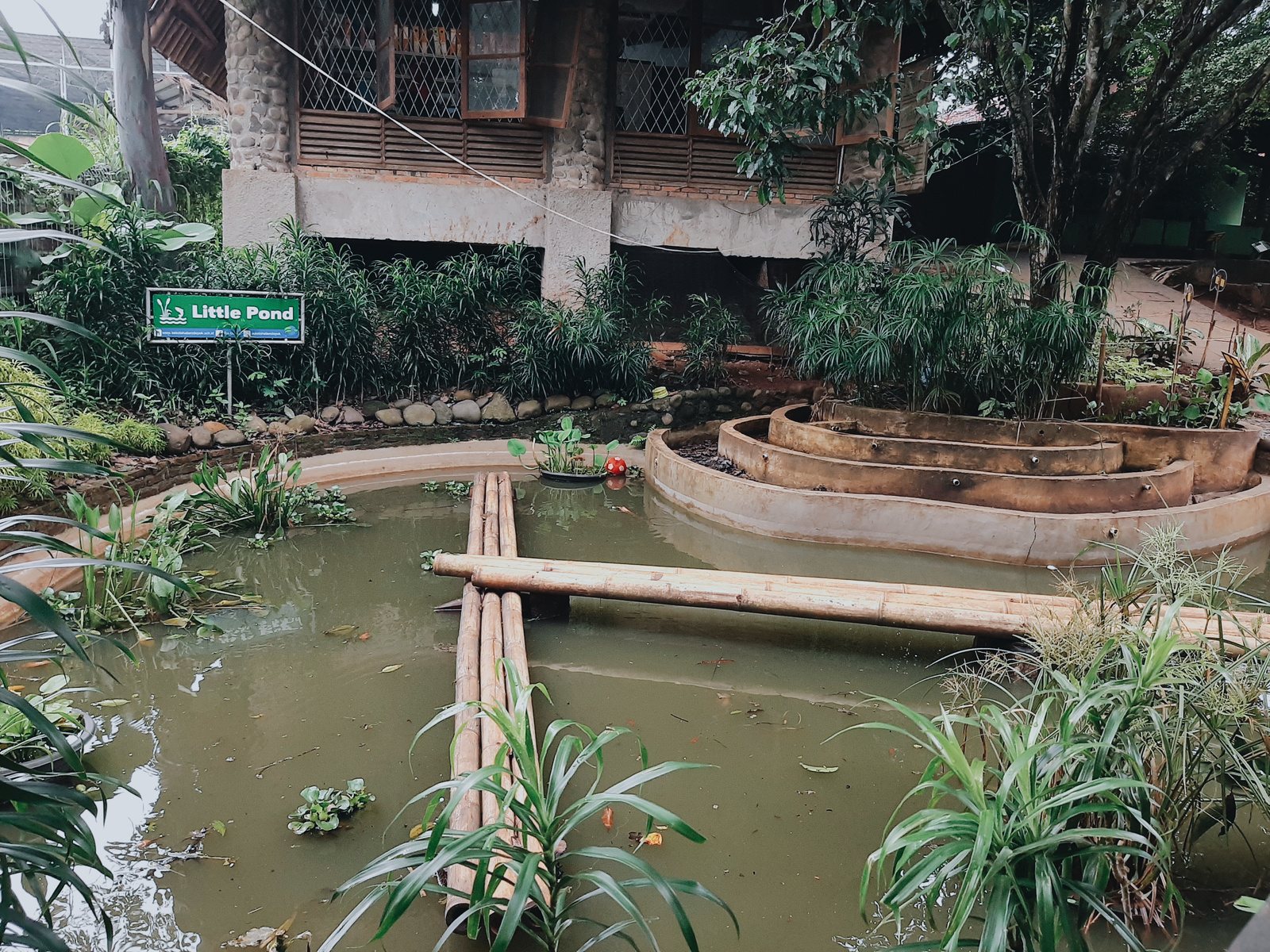 Little Pond