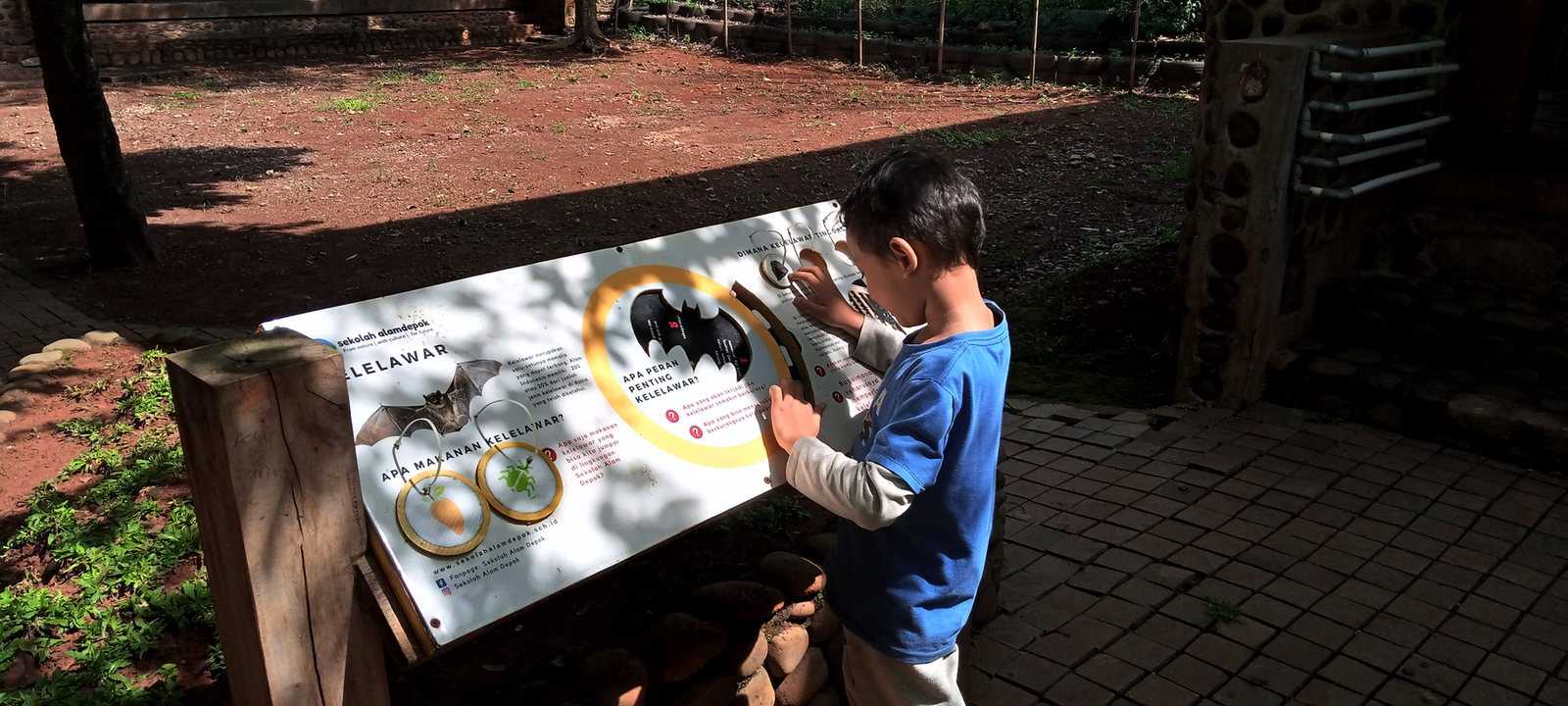 Interactive Display