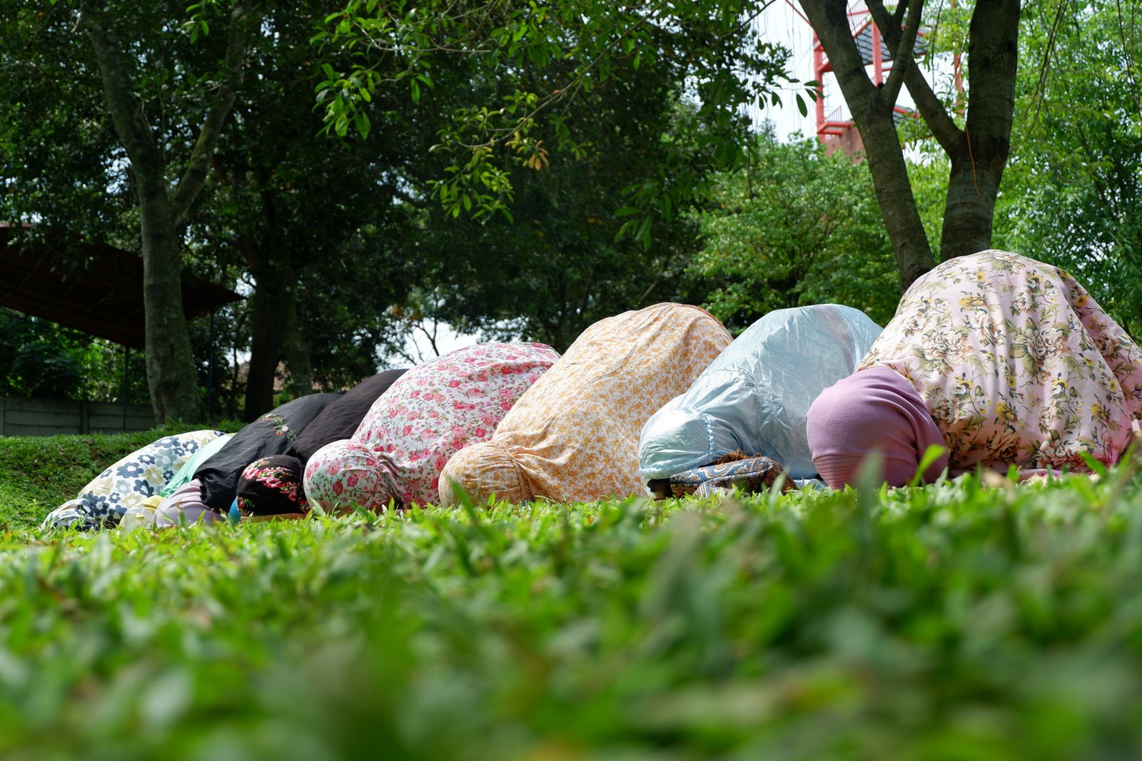 Kegiatan harian SADe